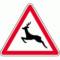 A15b - Passage d'animaux sauvages